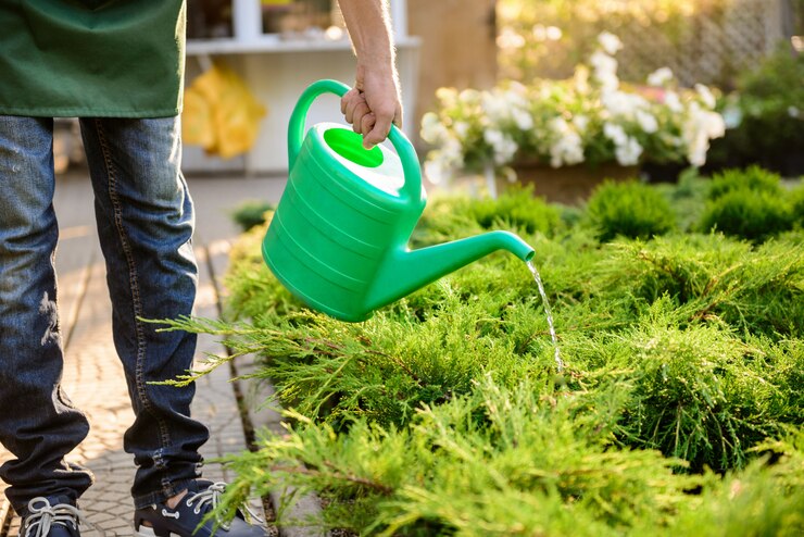 garden work in dubai